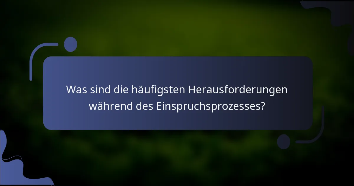 Was sind die häufigsten Herausforderungen während des Einspruchsprozesses?